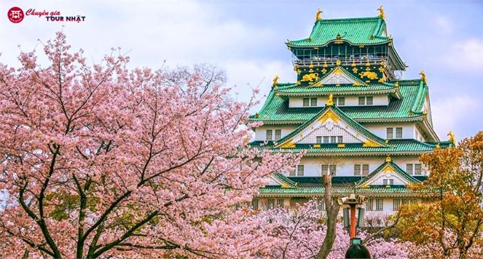 Tour Nhật Bản Hành Trình Vàng Mùa Hoa Anh Đào 6N5Đ